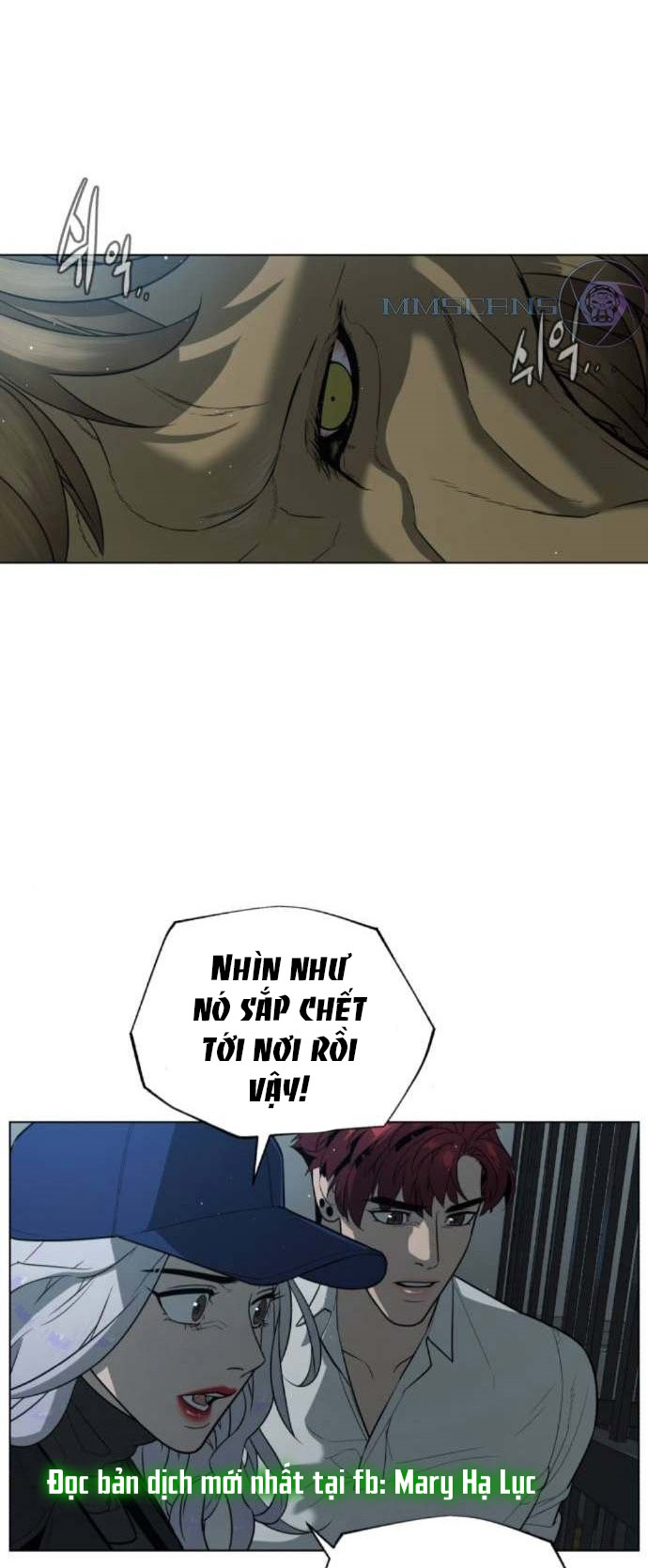 bạch huyết - white blood chapter 71 38