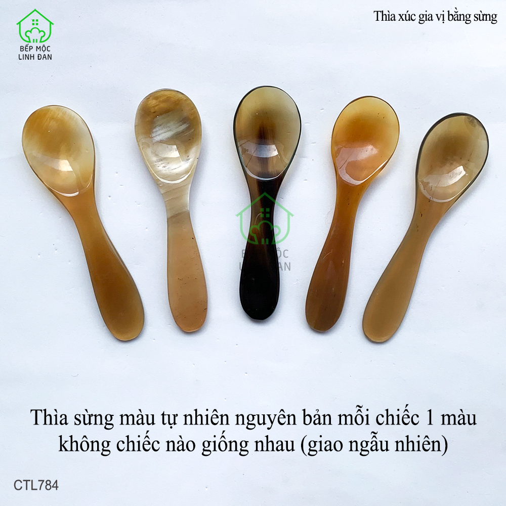 Muỗng Xúc Gia Vị Đồ Khô Bằng Sừng HAHANCO - 01 Chiếc Size 10cm [CTL784]