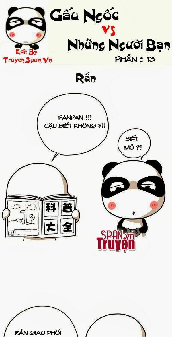 gấu ngốc và những người bạn chapter 3 6