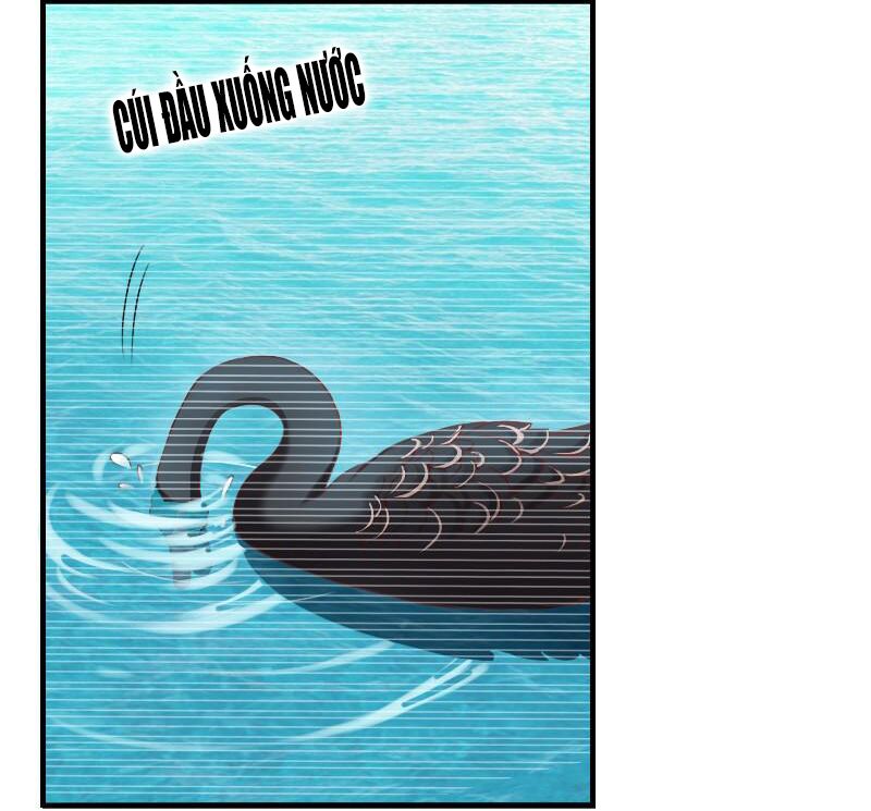 bay qua thiên sơn đến yêu anh chapter 7 36