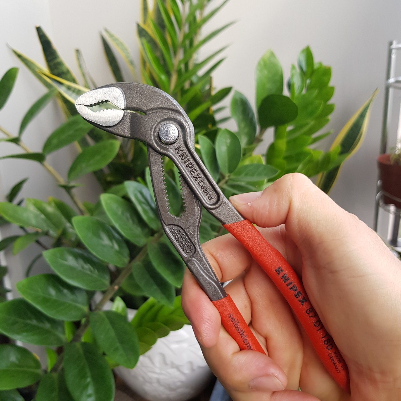 Kìm Nước Cobra KNIPEX - 87 01 180