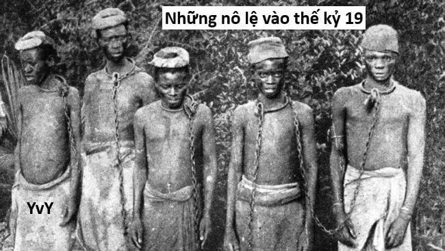 sự lụi tàn của usuzumi chapter 123 54