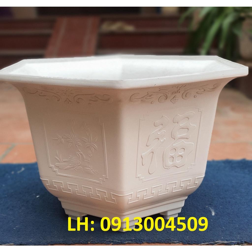 Chậu nhựa lục giác Phúc, Lộc, Thọ L19 đa sắc màu