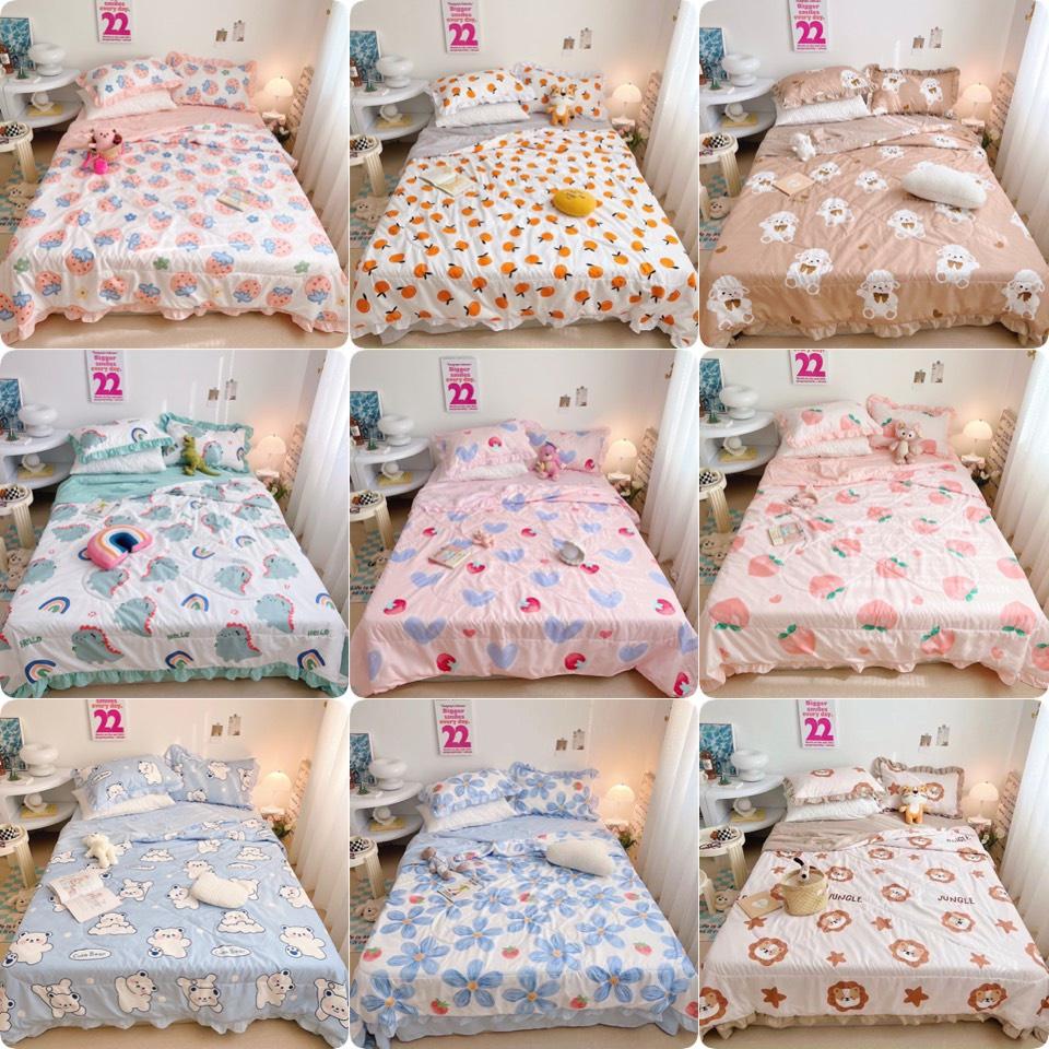 Bộ Chăn Ga Gối Cotton Đũi Bèo 4 món