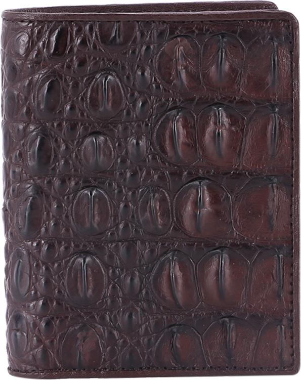Ví Nam Huy Hoàng HT2703 (10 x 12.5 cm) - Nâu Đất