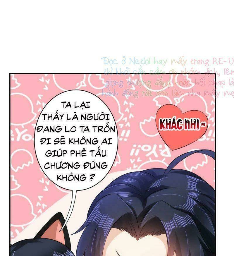 quận chúa vững vàng, thiết lập nhân vật không thể vỡ chapter 20 31