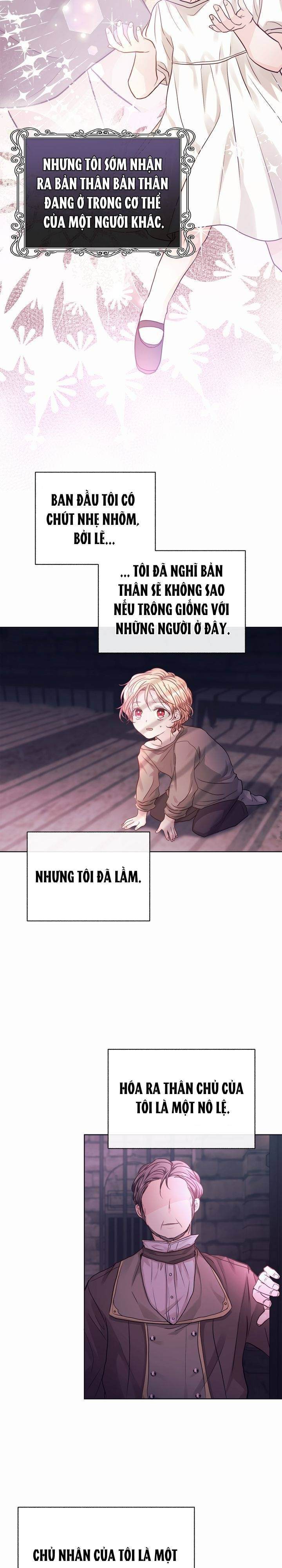 nàng dâu bí ẩn của sư tử trắng chapter 2 12