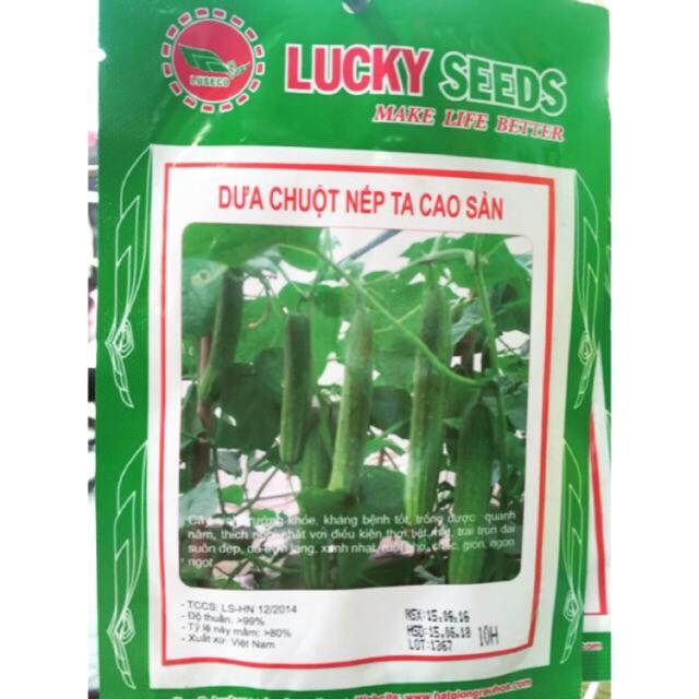Hạt giống dưa chuột nếp ta cao sản 10 hạt