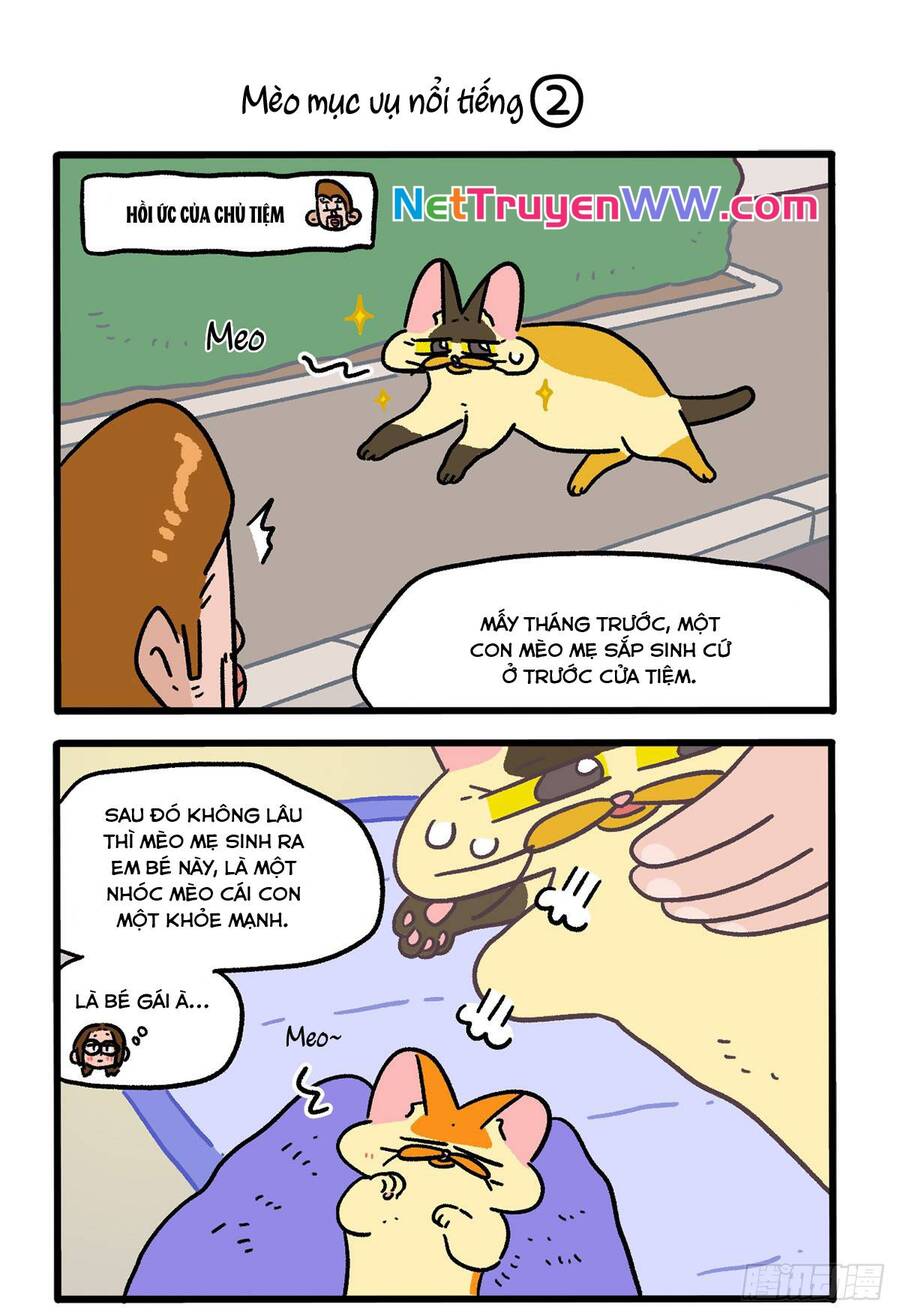 a mãn và mạch trà chapter 142 3