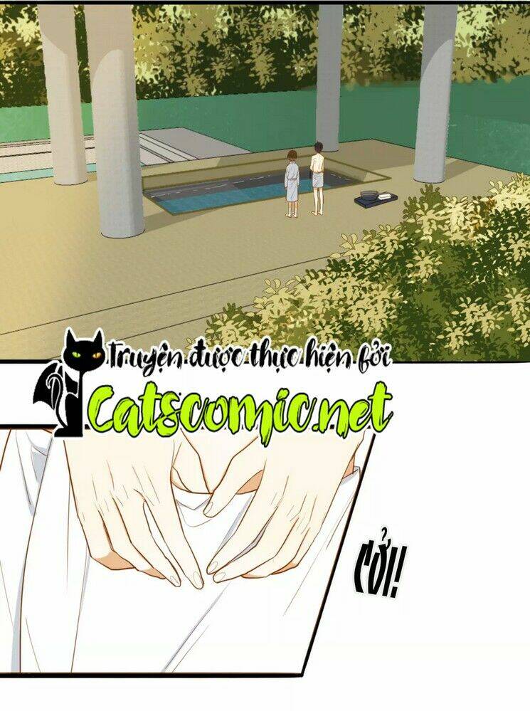 điều giáo quan hệ chapter 24 8