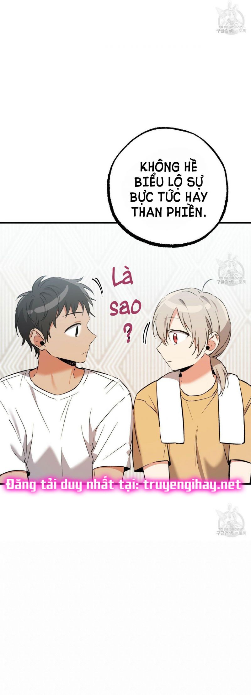 những chú thỏ của hapypy chapter 55.5 14