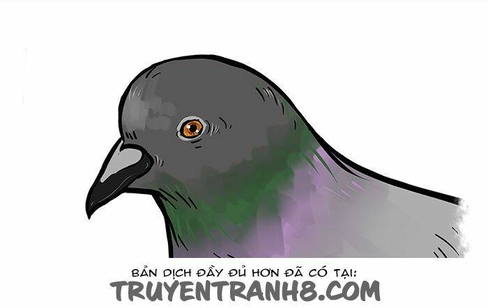 average adventures of an average girl chapter 4 8