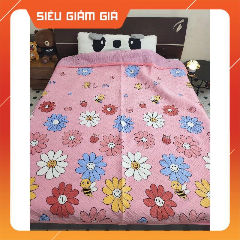 Chăn cotton nỉ nhung