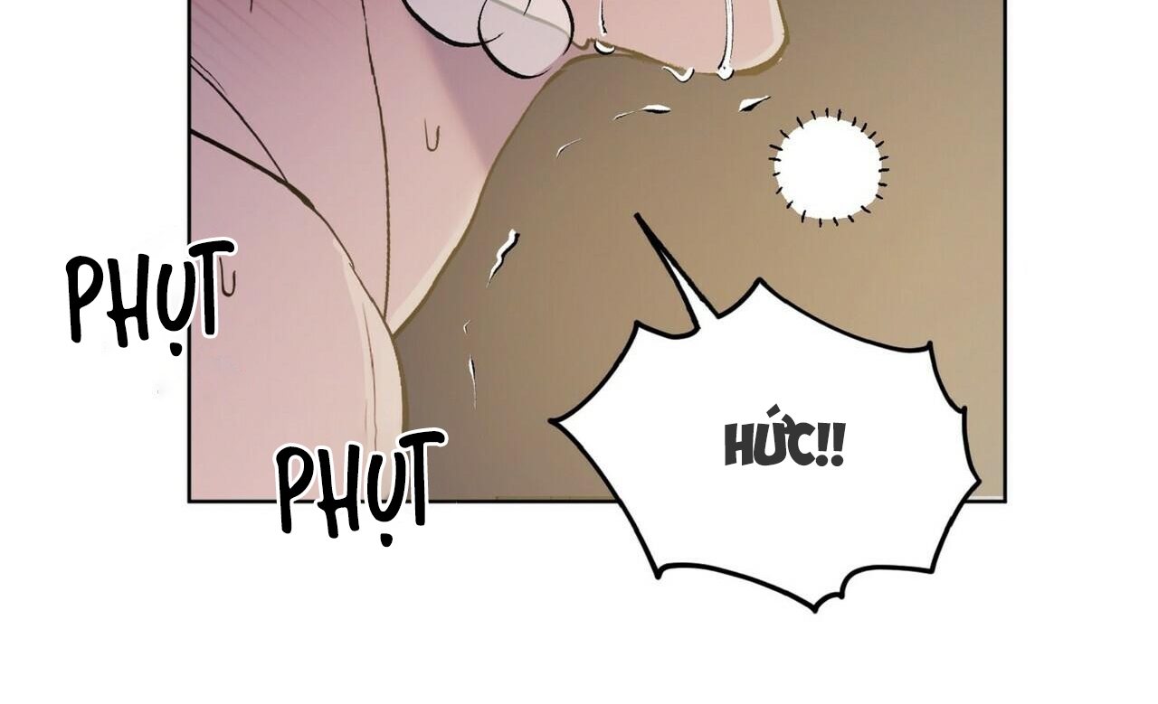 chàng dâu nhà họ kang chapter 23 87
