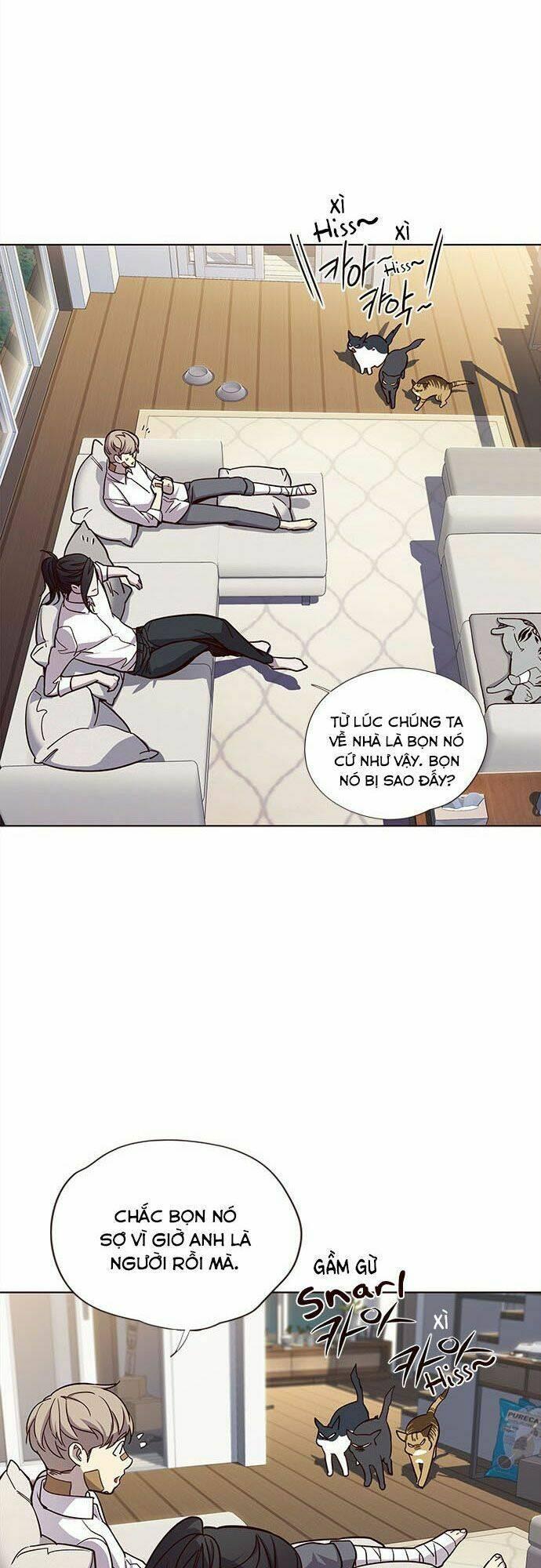 biến thân thành mèo chapter 15 42