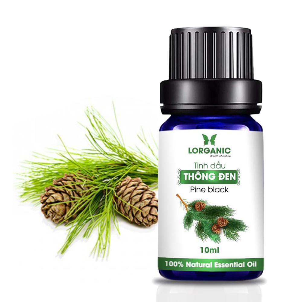 Tinh dầu gỗ thông đen  Lorganic Pine black 10ml/ Hương thơm ấm nồng/ Tinh dầu thiên nhiên nguyên chất xông phòng/ Thư giãn tinh thần/ Thích hợp dùng với đèn xông và máy khuếch tán.