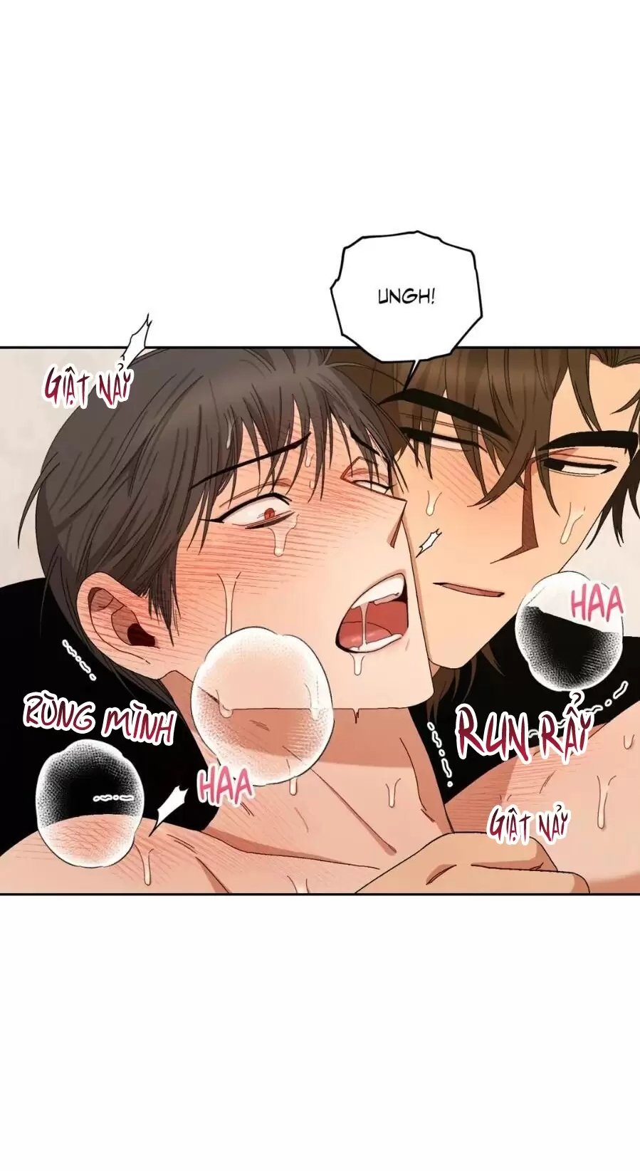 liveta chapter 13 21