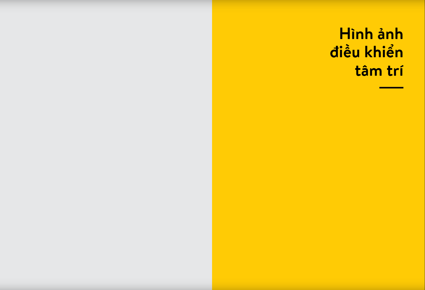 Sách RIO Book No.3 - Hình Ảnh Điều Khiển Tâm Trí - 30 Kỹ Thuật Điều Khiển Tâm Lý Trong Truyền Thông Thị Giác - ảnh 8