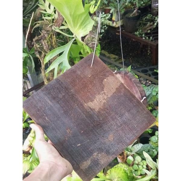 Bảng gỗ ghép tổ rồng