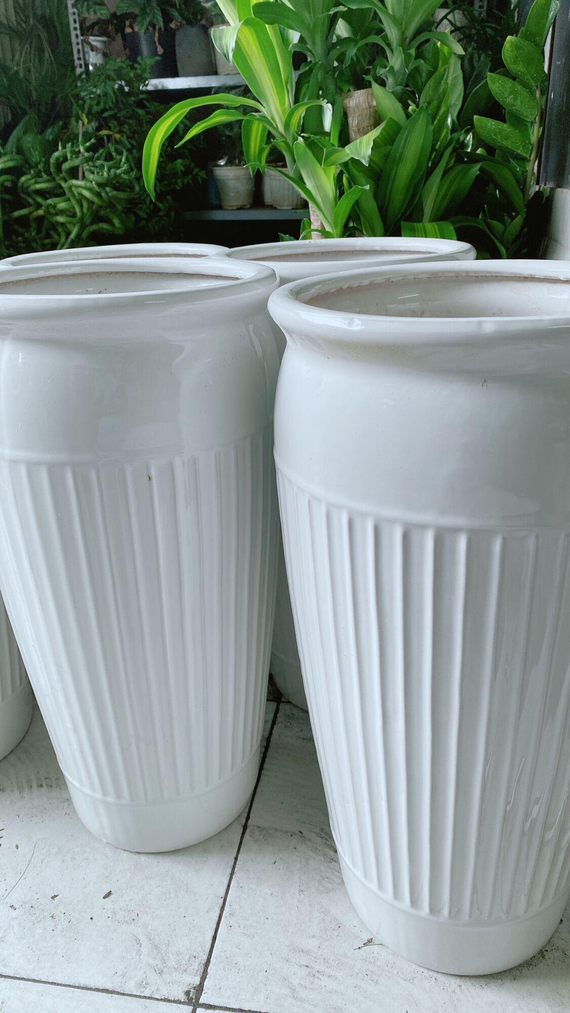 Chậu Trồng Cây Lớn