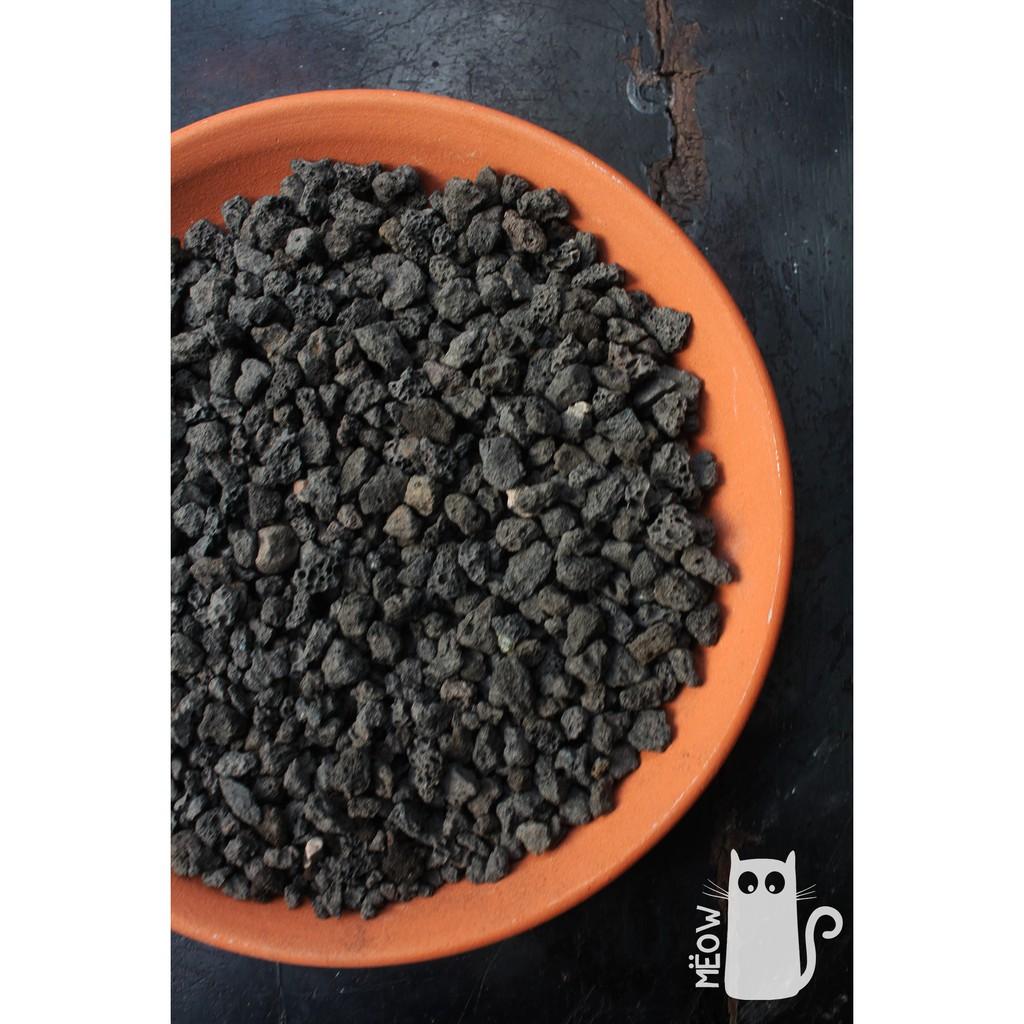Đá nham thạch đen - MEOW BLACK LAVA ROCK | Giá thể trồng sen đá, xương rồng, lọc nước bể cá