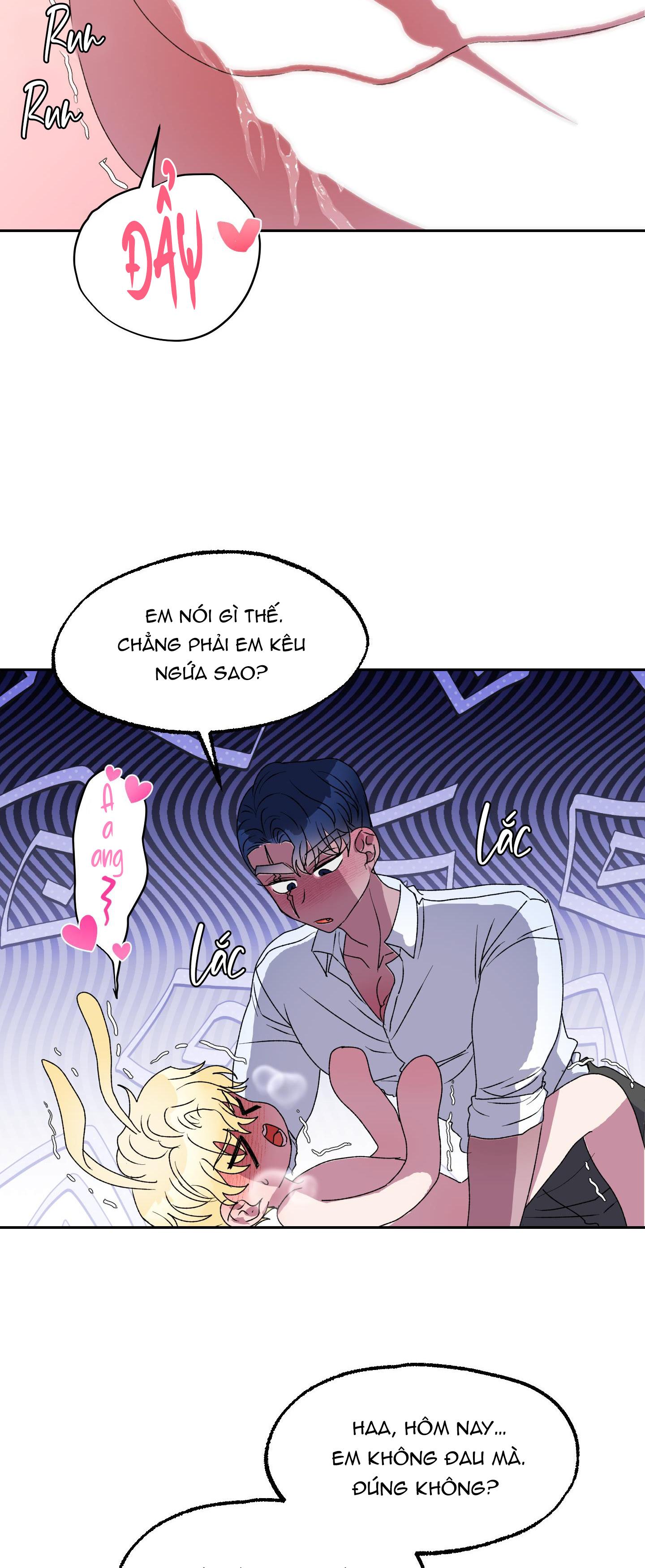 cá mập và cô dâu thỏ chapter 12 15