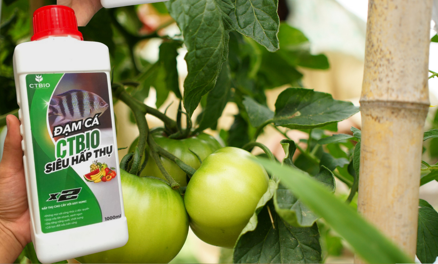 Combo 25 lít đạm cá + 3kg axit humic kích rễ cải tạo đất