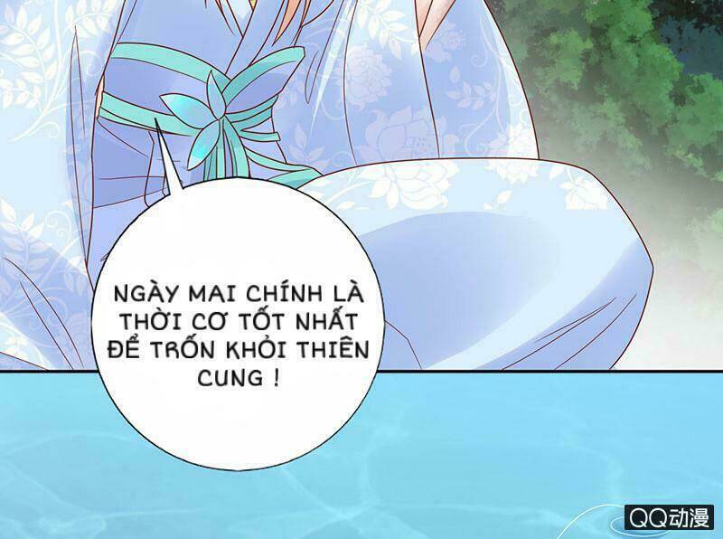 băng sơn học trưởng không được chọc chapter 31.2 3