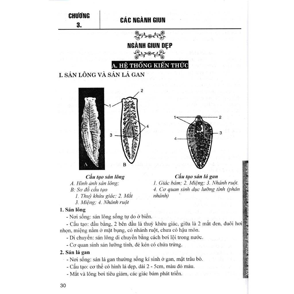 Sách - Tham Khảo - Bồi Dưỡng Học Sinh Giỏi Sinh Học 7 - Phan Khắc Nghệ - HA