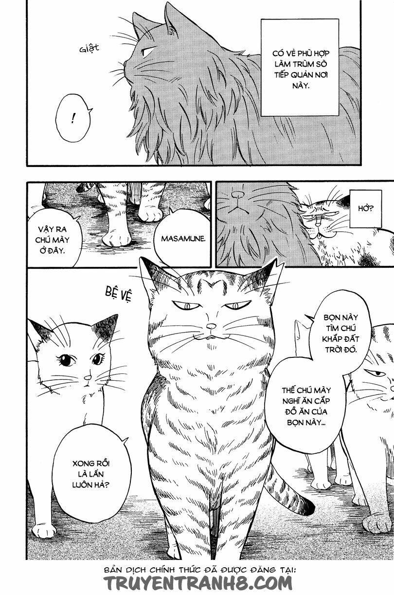 tui là busamen! chapter 5 11