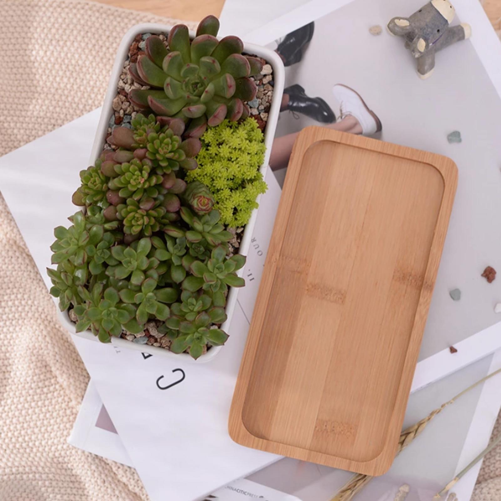 Chậu hoa bằng gốm hình chữ nhật màu trắng có khay tre để trang trí bàn làm việc