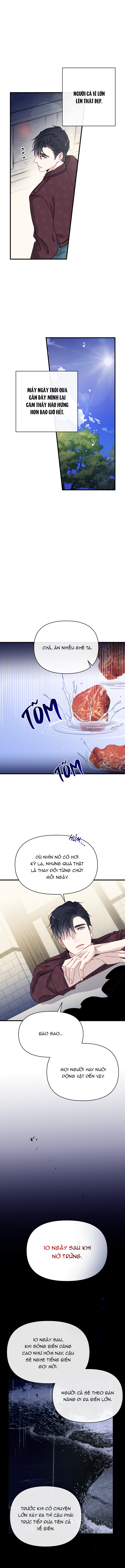 chàng tiên cá trên cạn chapter 1 24