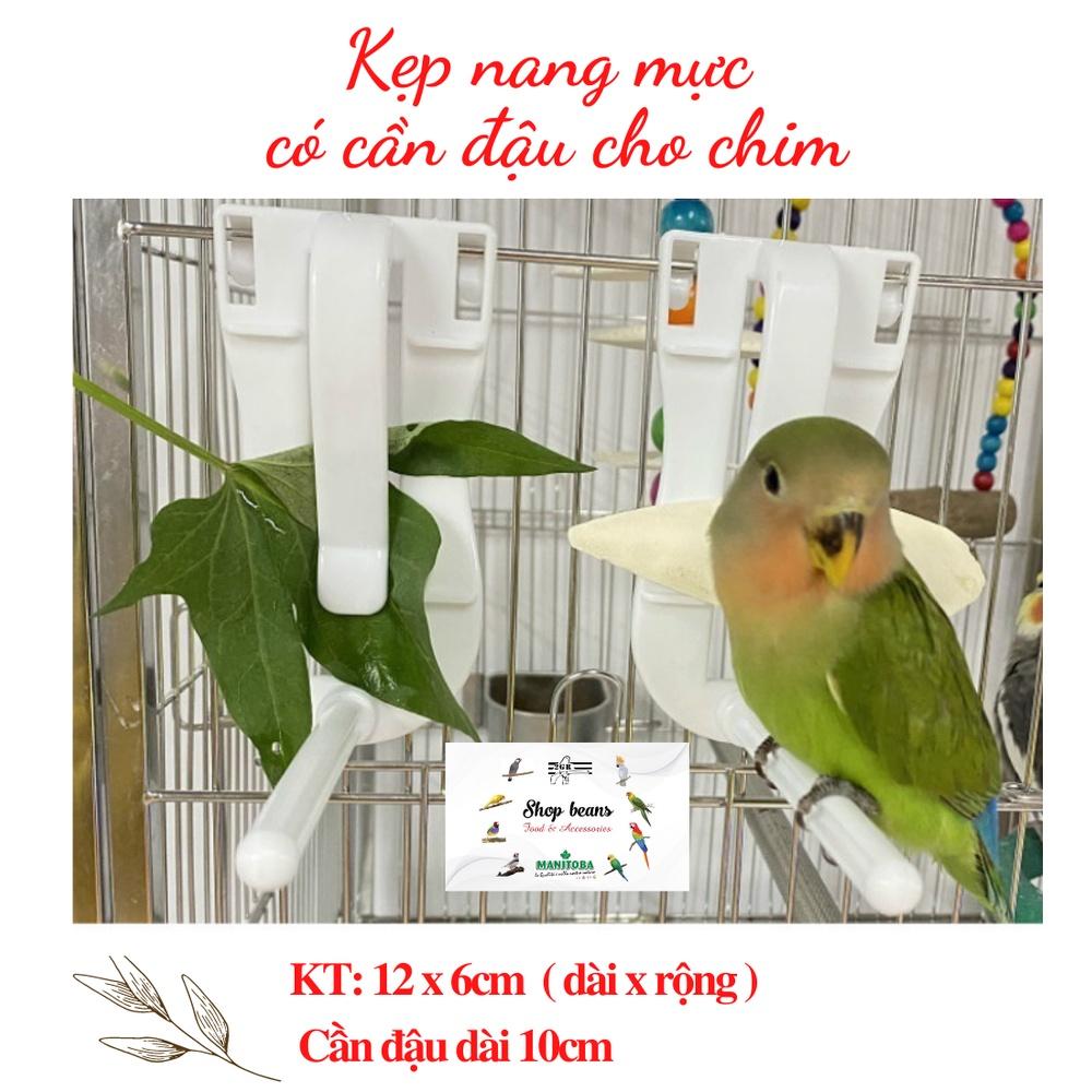 Kẹp nang mực có cần đậu đứng cho chim