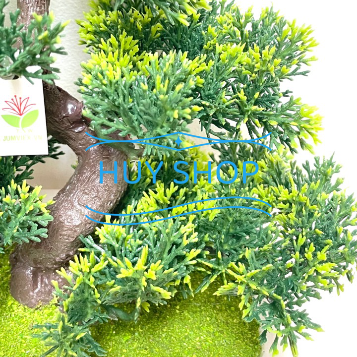 CHẬU TÙNG KIM NHÂN TẠO ĐỂ BÀN 23x25CM SỐ 1