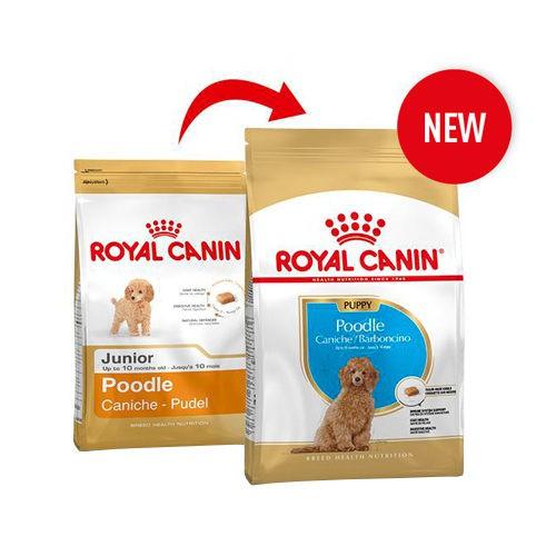 Royal Canin Poodle Junior - Thức ăn dành cho con Poodle