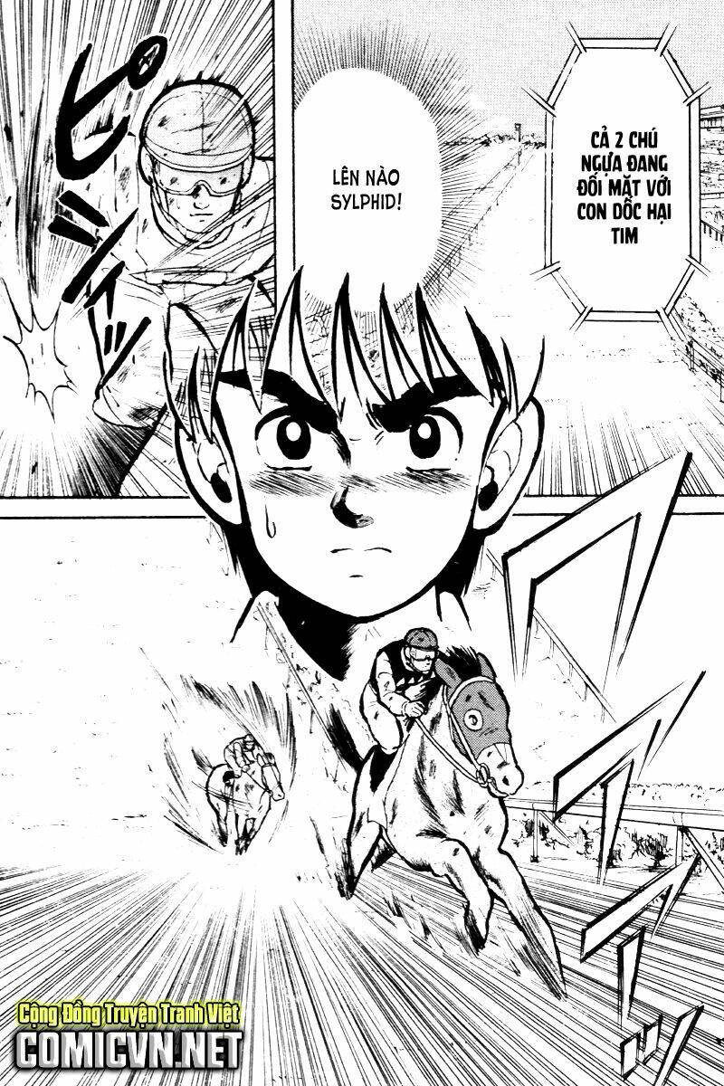 kaze no sylphid - phong mã silphid chapter 14 21