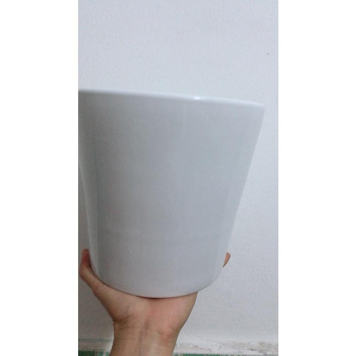 Chậu Sứ Trồng Cây