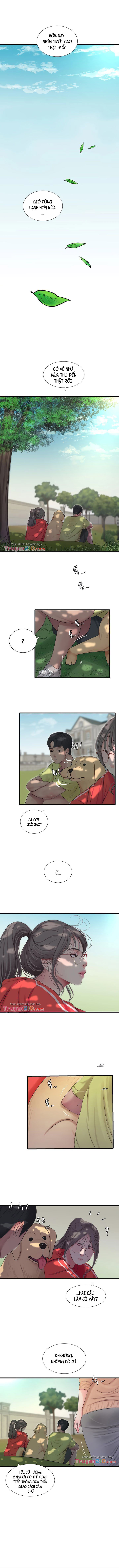 chị dâu trinh nữ chapter 57 8