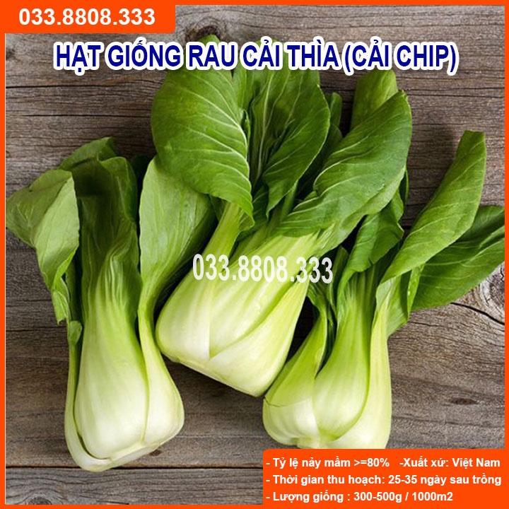 Hạt Giống Cải Thìa 20g - Cải Trồng Chậu
