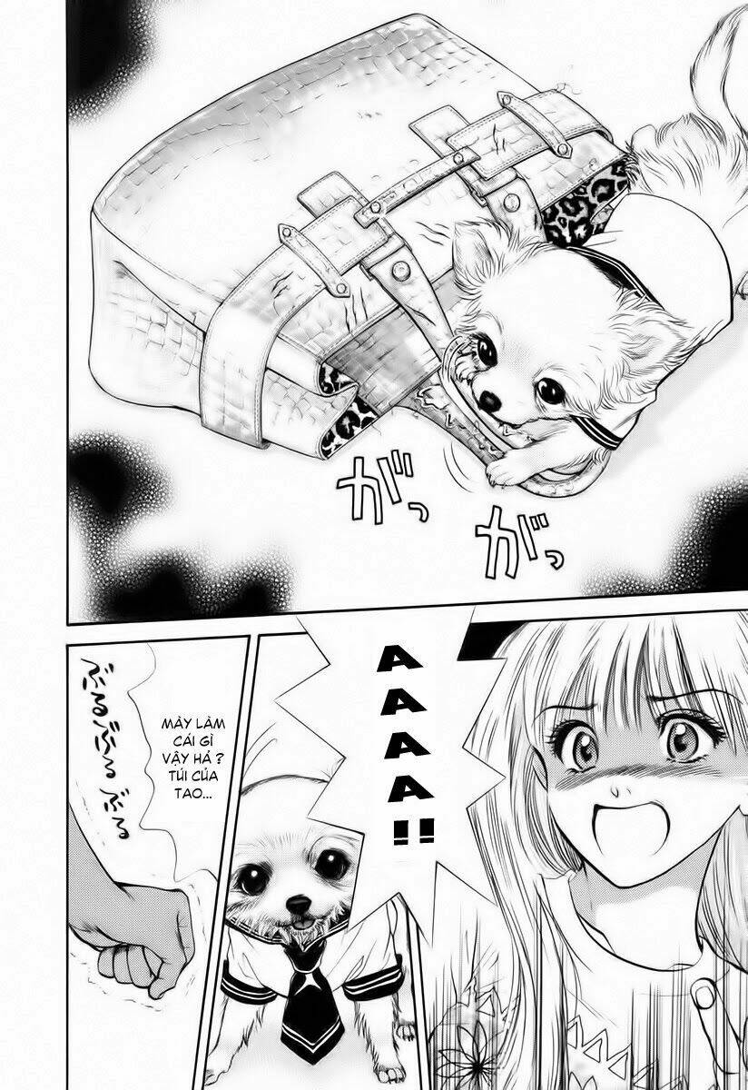 cô nàng yêu chó chapter 34 11