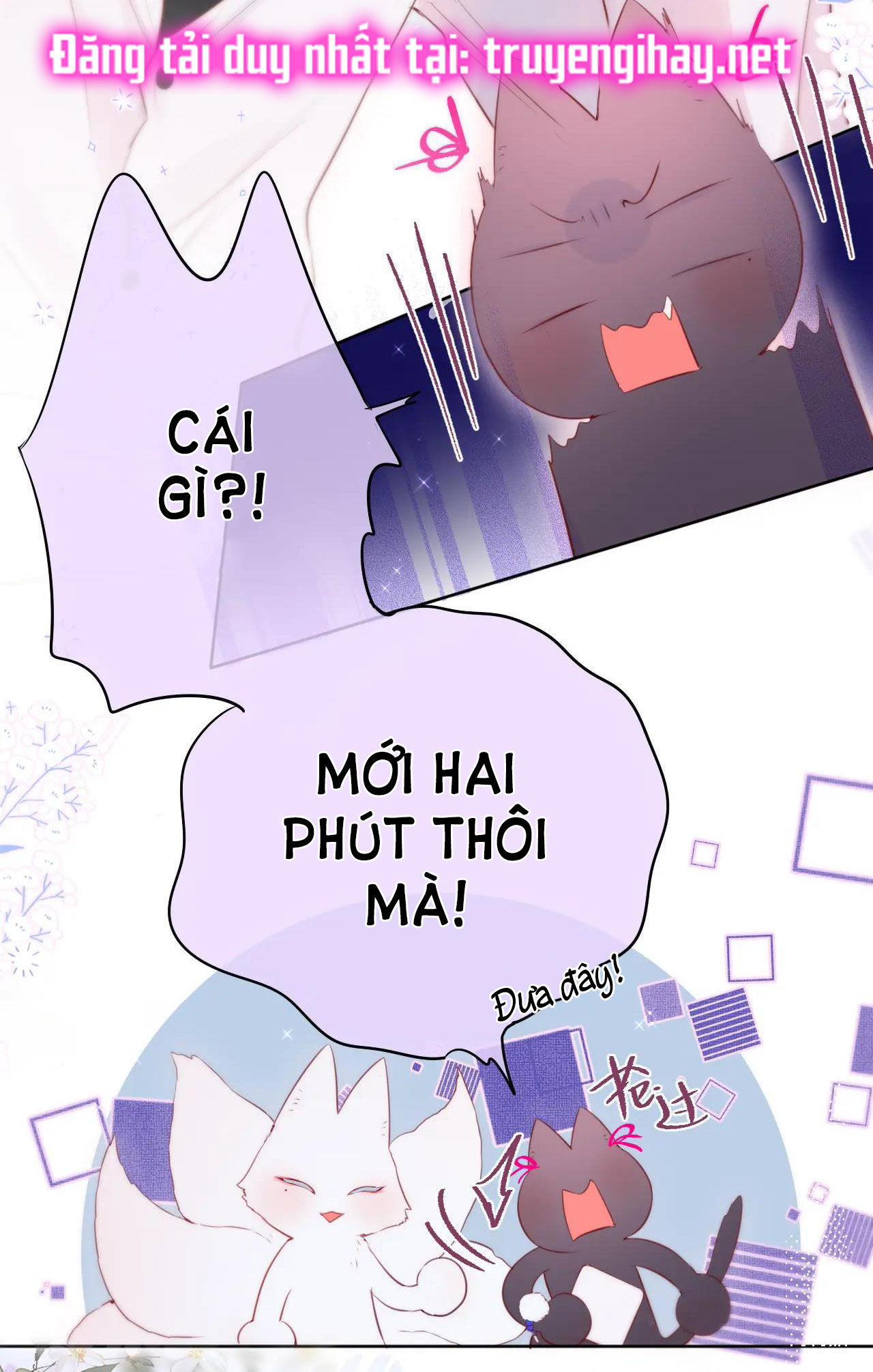 cạm bẫy của hồ ly chapter 12.2 12