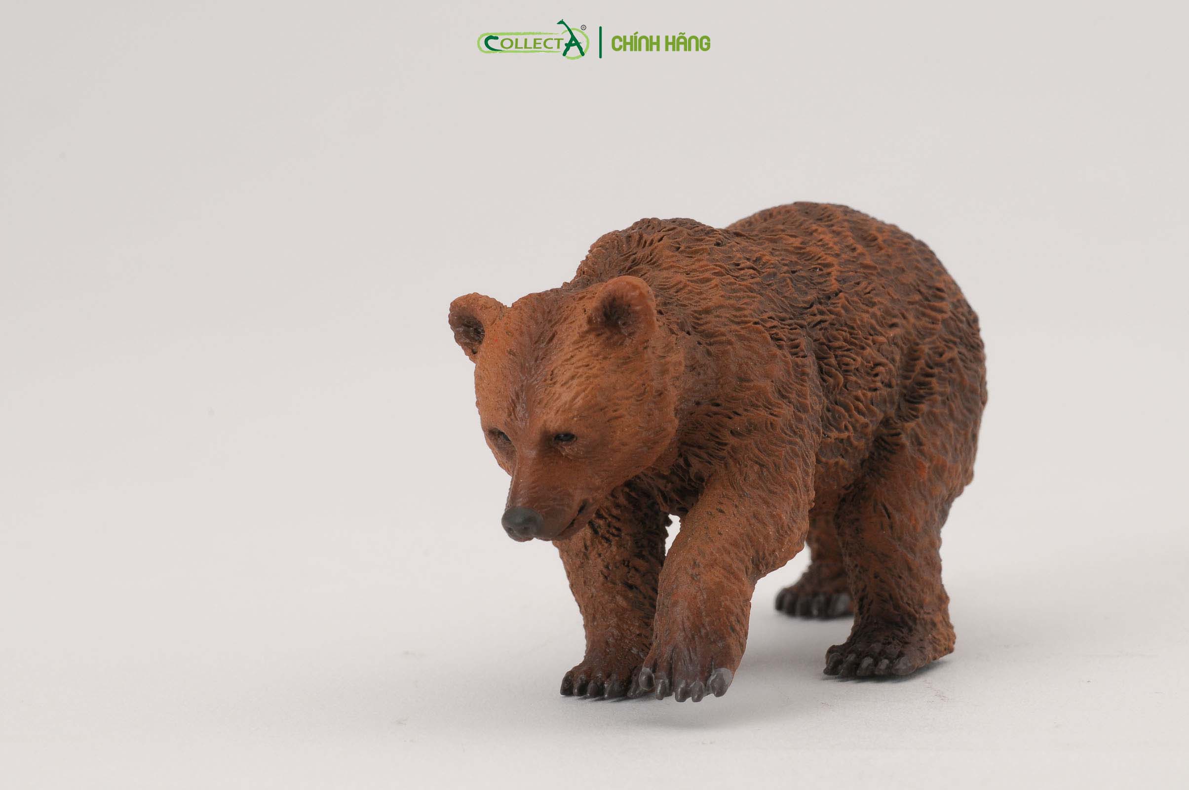 Mô hình thu nhỏ: Gấu Nâu con - Brown Bear Cub, hiệu: CollectA, mã HS 9651231[88561] -  Chất liệu an toàn cho trẻ - Hàng chính hãng