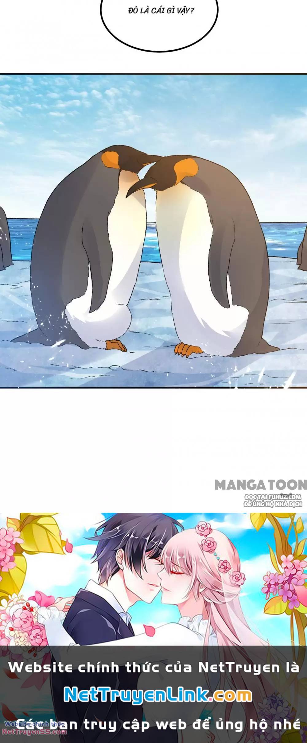 Tôi Sống Trên Hoang Đảo Cùng Các Em Gái chapter 246 35