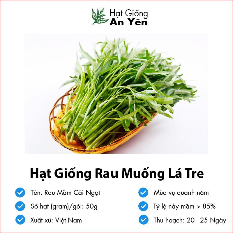 Hạt giống Rau Muống hoạch sớm, dễ trồng, nảy mầm cao