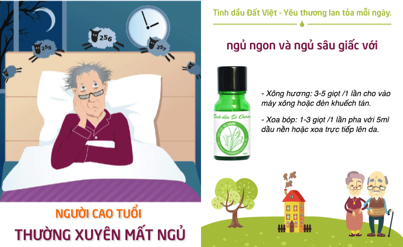 Combo Tinh Dầu Đất Việt: Đèn Và Sả Chanh 10ml (Phấn chấn tinh thần/ Ngủ ngon và sâu giấc)