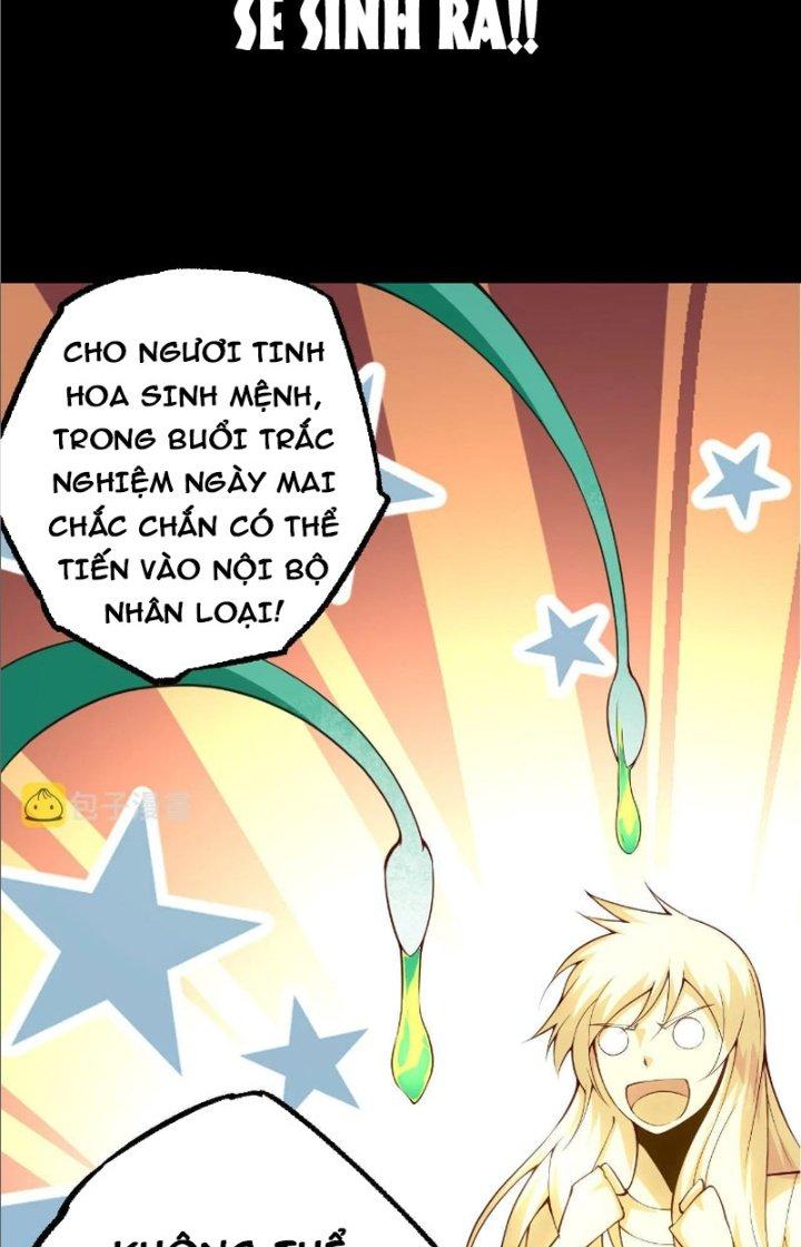 từ cây cổ thụ bắt đầu tiến hóa chapter 20 60