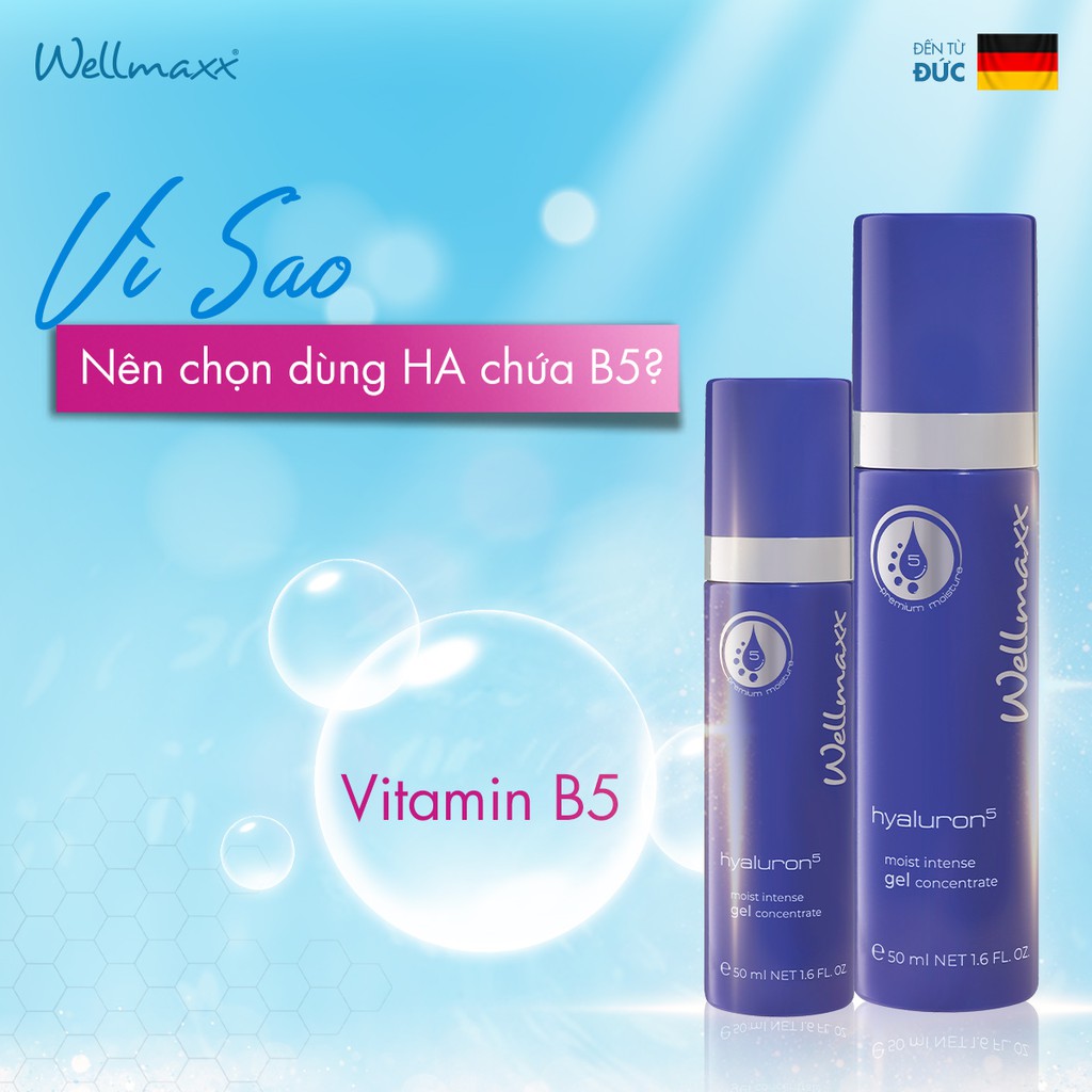 Gel Dưỡng Ẩm Phục Hồi Da Wellmaxx Hyaluron HA B5 Hyaluron5 Moist Intense Gel Concentrate