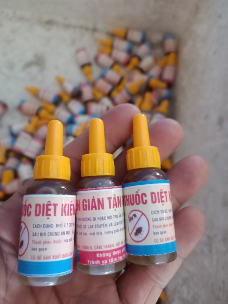 Thuốc diệt kiến gián sinh học tận gốc