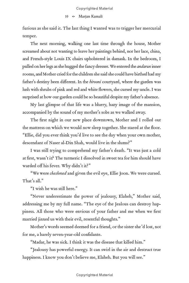 Sách ngoại văn: The Lion Women Of Tehran