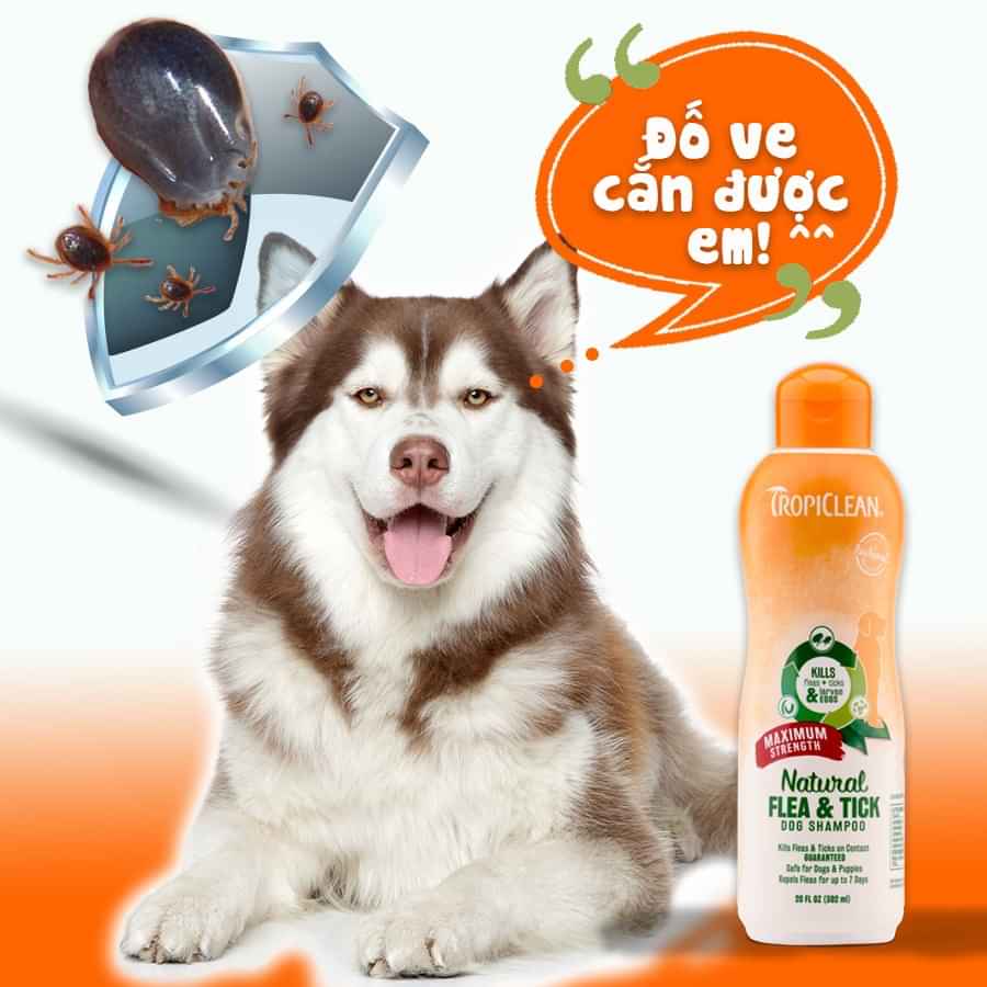 SỮA TẮM ĐẶC TRỊ VE, BỌ CHÉT TRÊN CHÓ